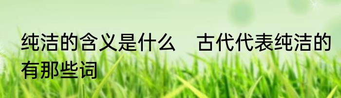 纯洁的含义是什么　古代代表纯洁的有那些词
