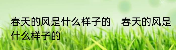 春天的风是什么样子的　春天的风是什么样子的