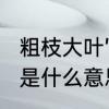 粗枝大叶”是什么意思　性格粗枝大叶是什么意思