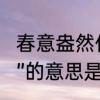 春意盎然什么意思是什么　”春意盎然”的意思是什么