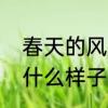 春天的风是什么样子的　春天的风是什么样子的
