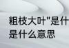 粗枝大叶”是什么意思　性格粗枝大叶是什么意思