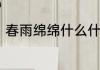 春雨绵绵什么什么　春雨连绵的意思