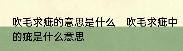 吹毛求疵的意思是什么　吹毛求疵中的疵是什么意思