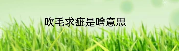 吹毛求疵是啥意思