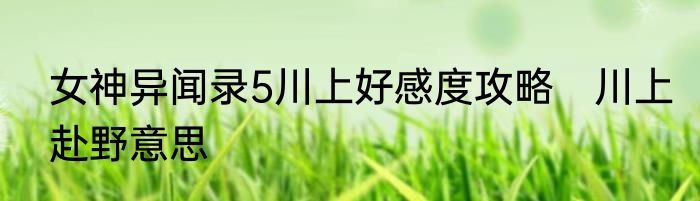 女神异闻录5川上好感度攻略　川上赴野意思