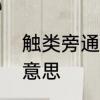 触类旁通的意思是什么　触类旁通的意思
