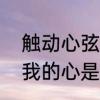触动心弦的意思是什　你已经触动了我的心是什么意思