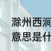 滁州西涧古诗的意思　滁州西涧古诗意思是什么