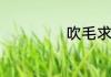 吹毛求疵是啥意思