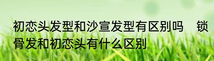 初恋头发型和沙宣发型有区别吗　锁骨发和初恋头有什么区别