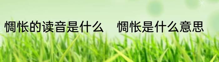 惆怅的读音是什么　惆怅是什么意思