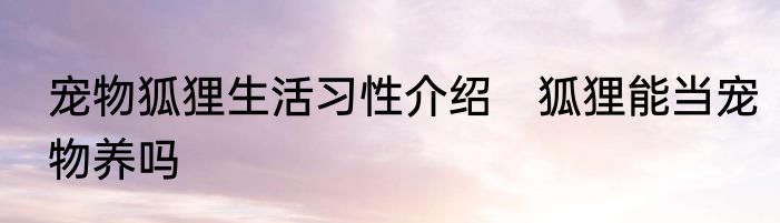 宠物狐狸生活习性介绍　狐狸能当宠物养吗