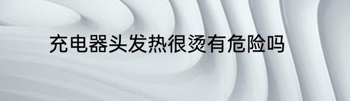 充电器头发热很烫有危险吗