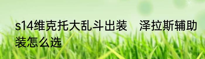 s14维克托大乱斗出装　泽拉斯辅助装怎么选