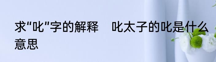 求“叱”字的解释　叱太子的叱是什么意思