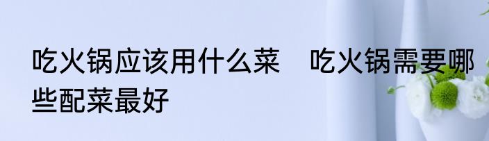 吃火锅应该用什么菜　吃火锅需要哪些配菜最好