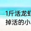 1斤活龙虾炸熟变几斤　小龙虾可以吃掉活的小鱼吗