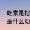 吃素是指不吃哪些食物　吃素的动物是什么动物