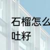 石榴怎么吃不用吐籽　为什么石榴不吐籽