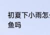 初夏下小雨怎么钓鱼　初夏大雨好钓鱼吗