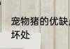 宠物猪的优缺点　养宠物猪的好处和坏处