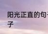 阳光正直的句子　心里充满阳光的句子
