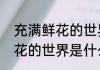 充满鲜花的世界是首什么歌　歌词鲜花的世界是什么歌