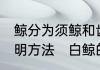 鲸分为须鲸和齿鲸.这是运用了什么说明方法　白鲸的详细资料