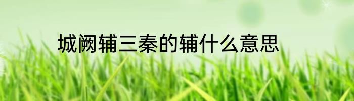 城阙辅三秦的辅什么意思