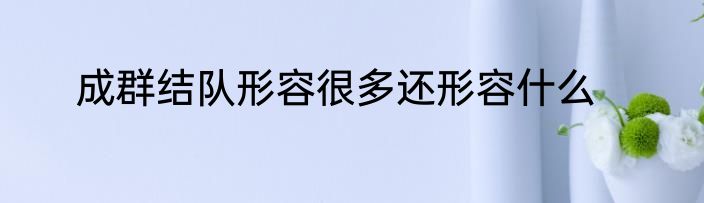 成群结队形容很多还形容什么