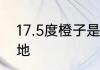 17.5度橙子是哪里产的　农夫橙子产地