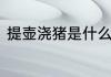 提壶浇猪是什么成语　调侃猪的词语