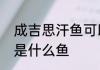 成吉思汗鱼可以食用吗　成吉思汗鲨是什么鱼