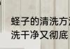 蛏子的清洗方法和做法　蛏子怎么清洗干净又彻底
