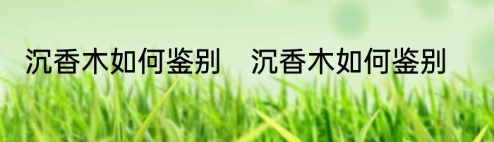 沉香木如何鉴别　沉香木如何鉴别