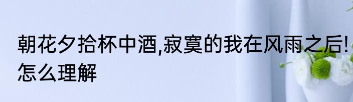 朝花夕拾杯中酒,寂寞的我在风雨之后!怎么理解