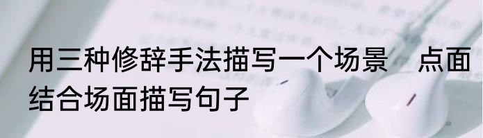 用三种修辞手法描写一个场景　点面结合场面描写句子