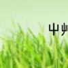 屮艸芔茻这4个字念啥