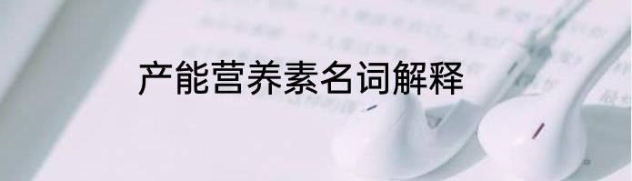 产能营养素名词解释