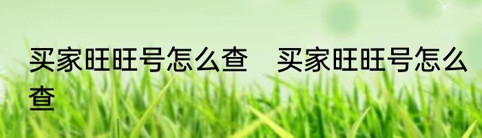 买家旺旺号怎么查　买家旺旺号怎么查