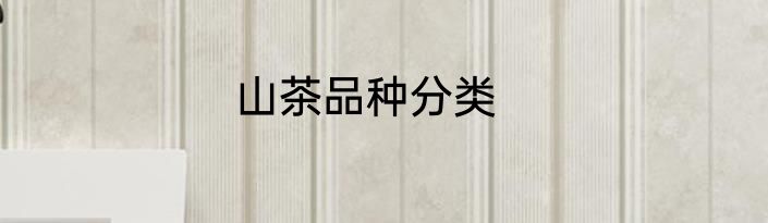 山茶品种分类