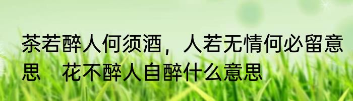 茶若醉人何须酒，人若无情何必留意思　花不醉人自醉什么意思