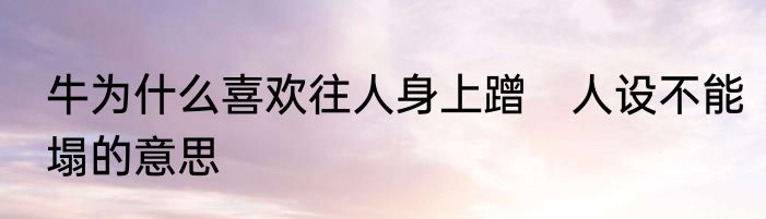 牛为什么喜欢往人身上蹭　人设不能塌的意思