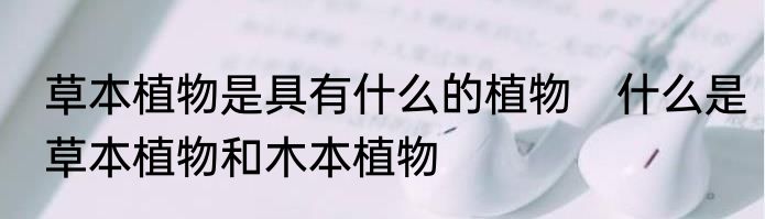 草本植物是具有什么的植物　什么是草本植物和木本植物