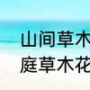 山间草木花并蒂是什么意思　山川浑庭草木花濨