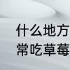 什么地方的方言把草莓叫做地果　经常吃草莓会让身上出现草莓香味吗