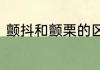 颤抖和颤栗的区别　颤栗中文怎么调