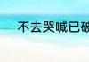 不去哭喊已破碎歌词是什么意思