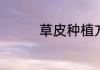 草皮种植方法及注意事项